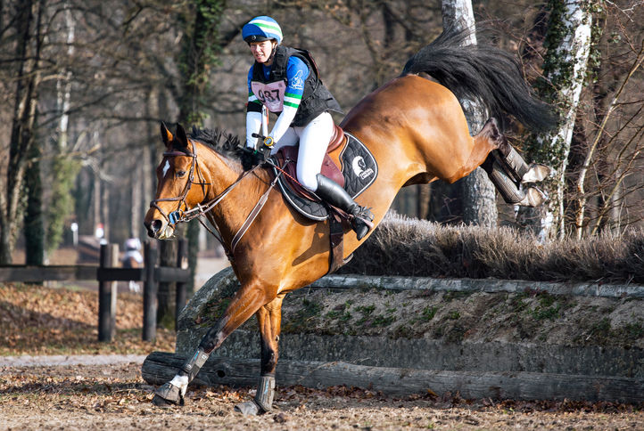 hippodrome de verrie, saumur, grand national, cross, cheval, site de verrie, photographe, photographe de sport équestre, photographe de sport, ffe, fédération française d'équitation