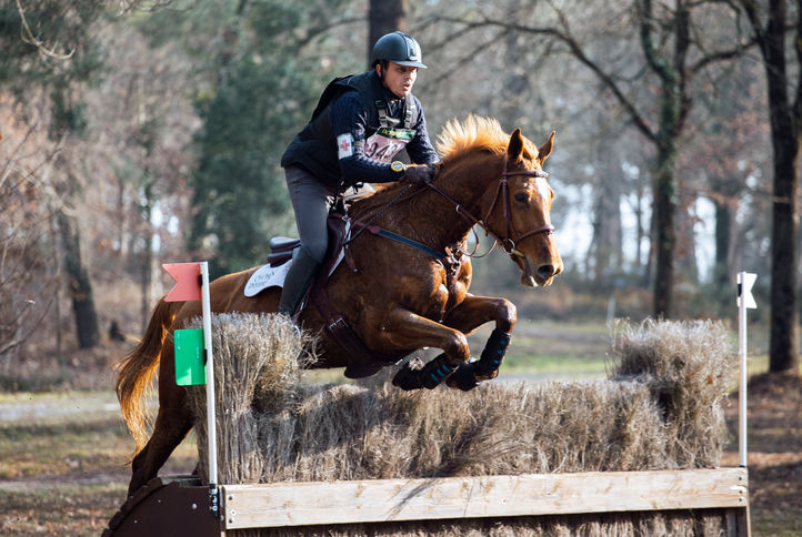hippodrome de verrie, saumur, grand national, cross, cheval, site de verrie, photographe, photographe de sport équestre, photographe de sport, ffe, fédération française d'équitation