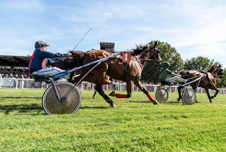 hippodrome, la roche-posay, benjamin dupuy, courses hippiques, thouars, tours, chambray lès tours, trot, galop, steeple chase, cheval de course, trophée vert