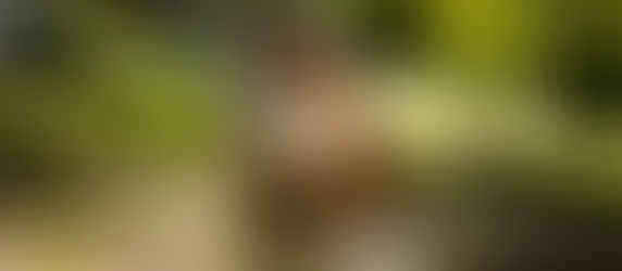 Portrait de couple dans le parc du Domaine de la Boutelaye