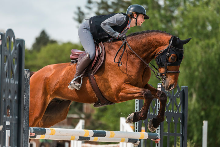 cso tours pernay, cso, concours de saut d'obstacles, photographe, benjamin dupuy, photographe de sport équestre, departement 86, vienne, indre et loire, touraine