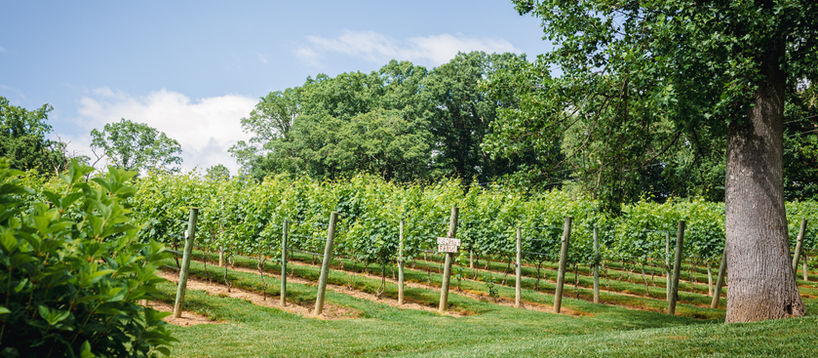 Boost Visitation Using the Power of Video: An Overview of Destination Marketing in Appalachia