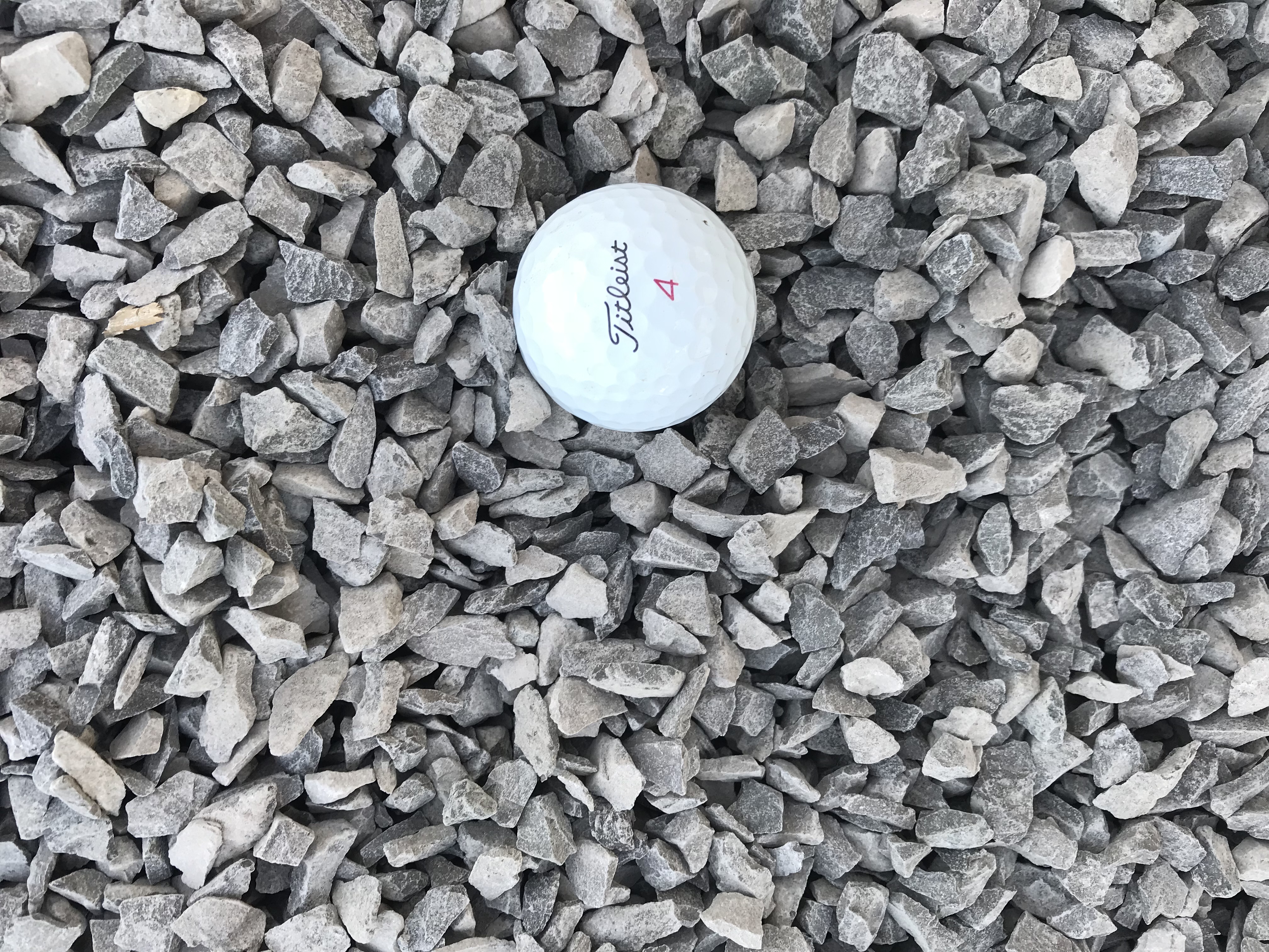 1B Limestone