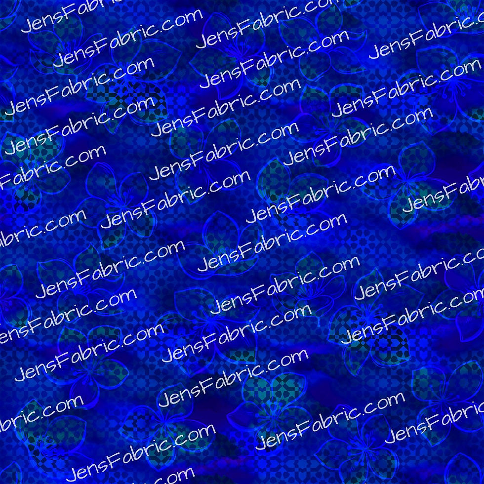 Magical Motif Aladdin: Blue coord