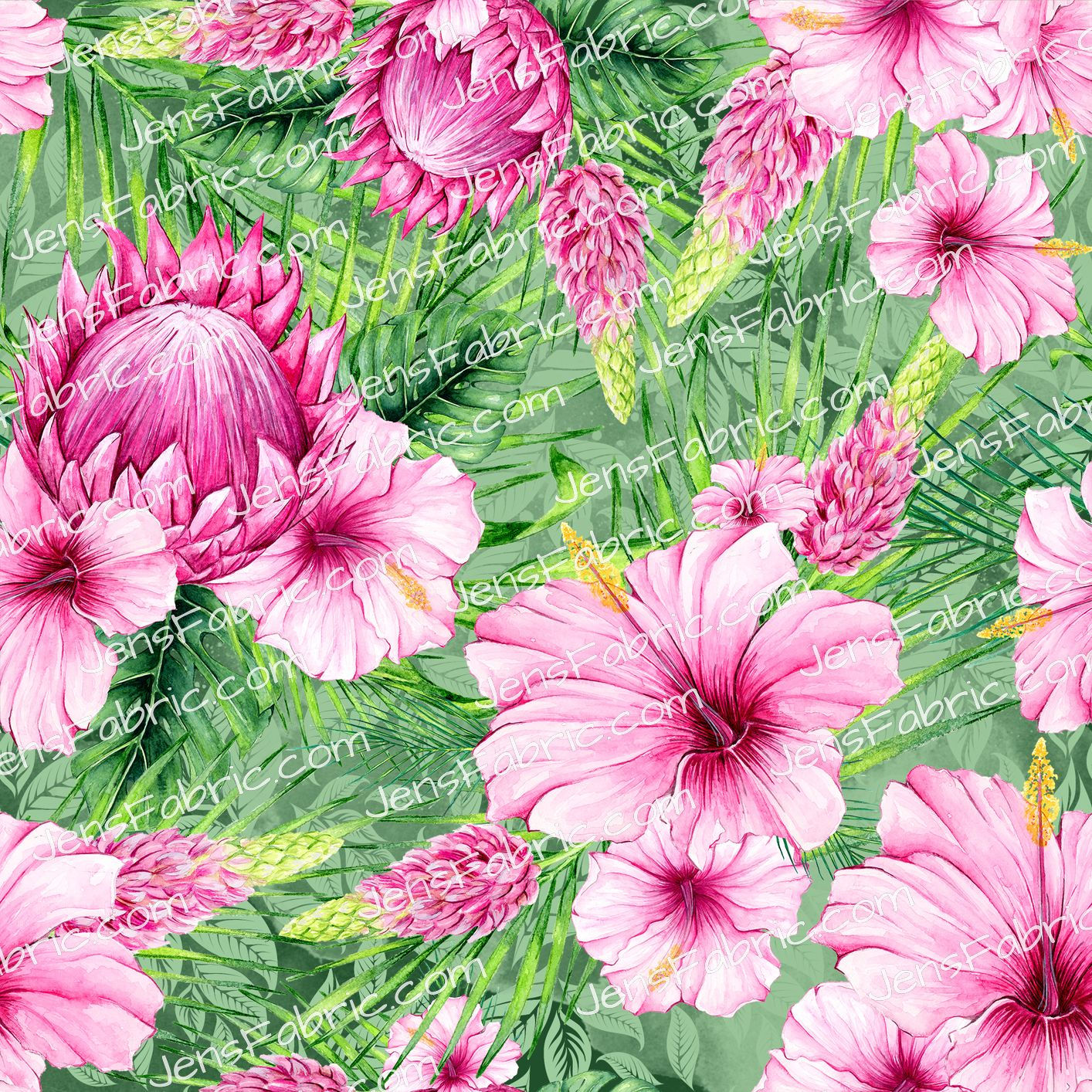 Hibiscus on green leaves Stack