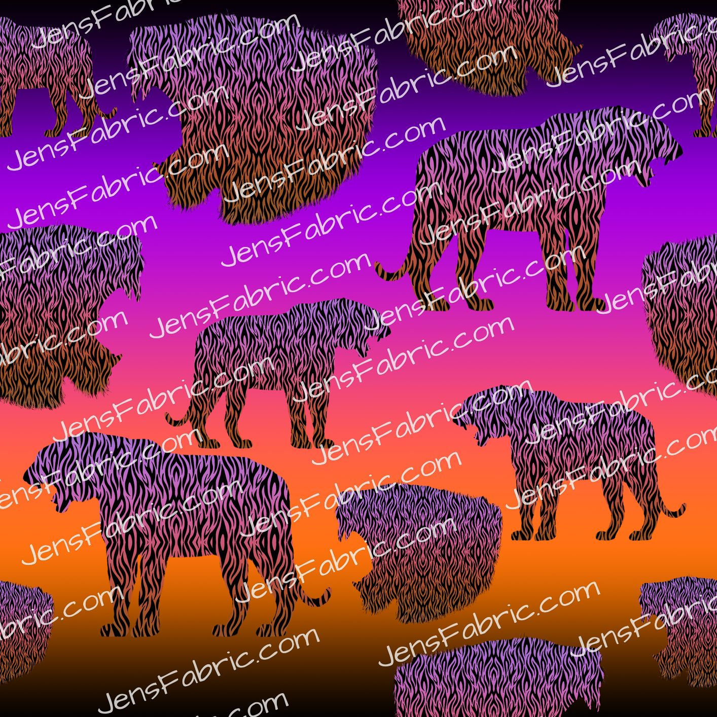 R13 Lion King: tiger stack on ombre