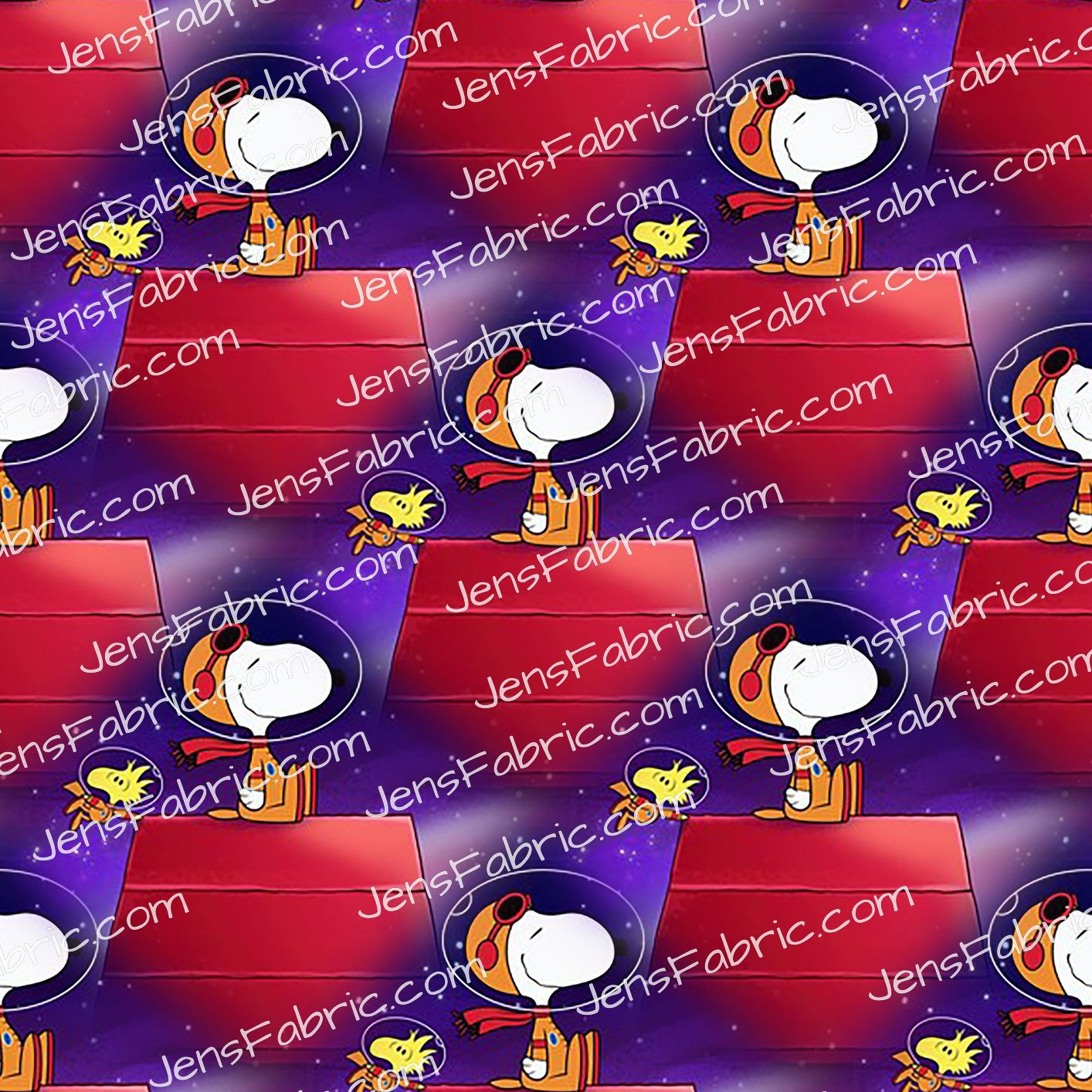 Astronaut Snoopy and Woodstock