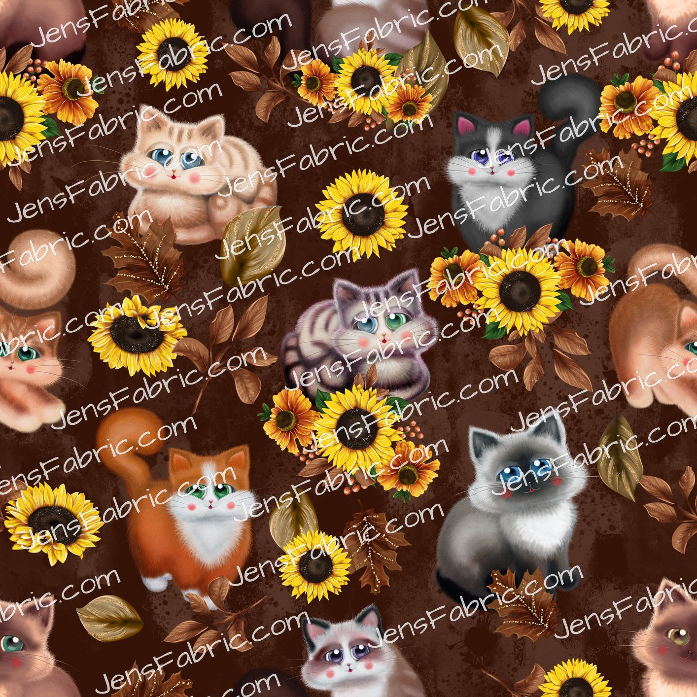 Cats and Sunflowers