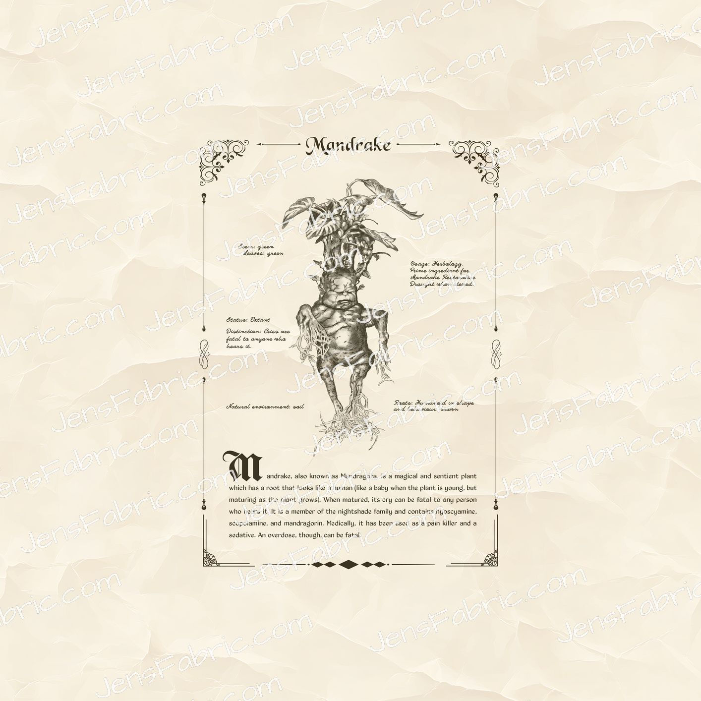 R37 Creature Codex Fantastic Beasts: Mandrake Panel