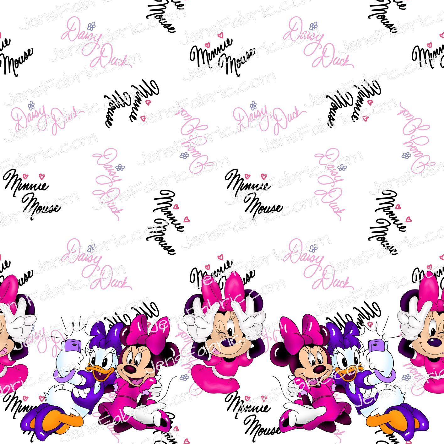 R10 Goofing Around: minnie and daisy border