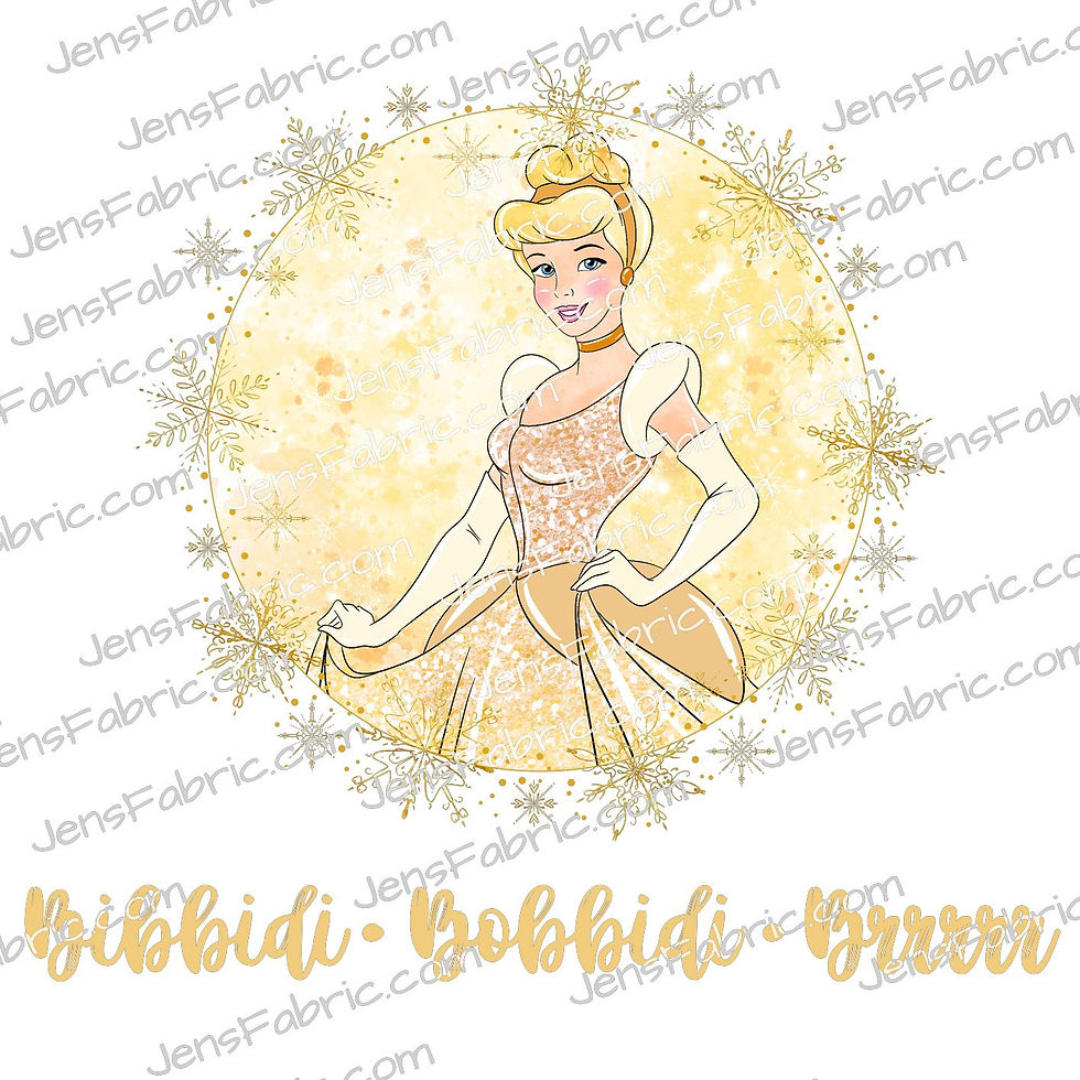 winter cinderella panel