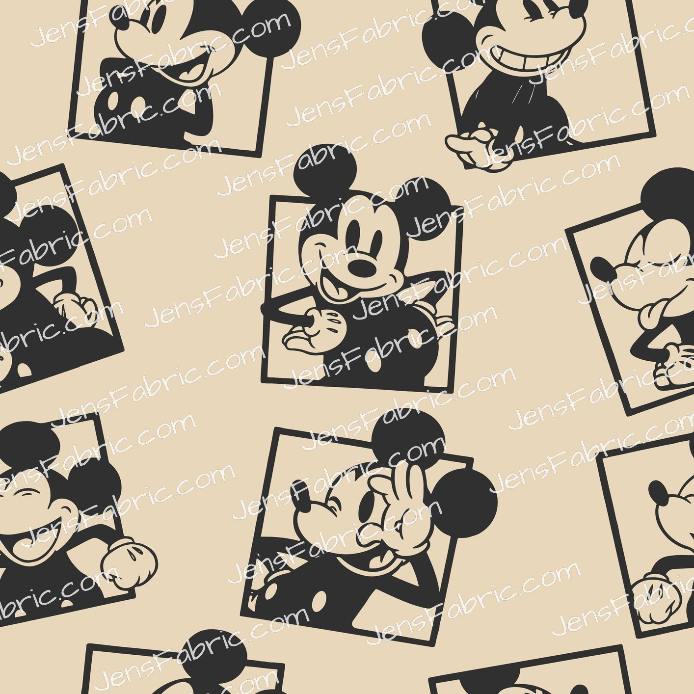 Vintage Mickey Frame Toss