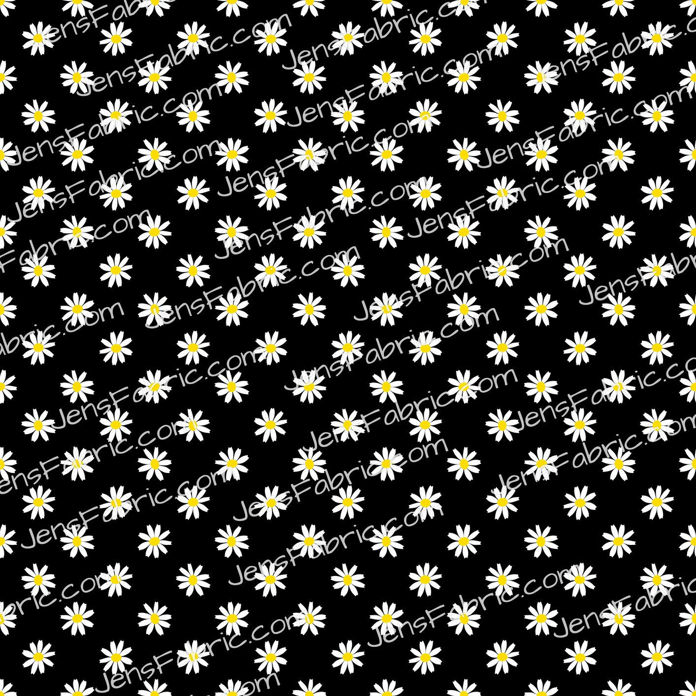 Honey Bear Daisies on black