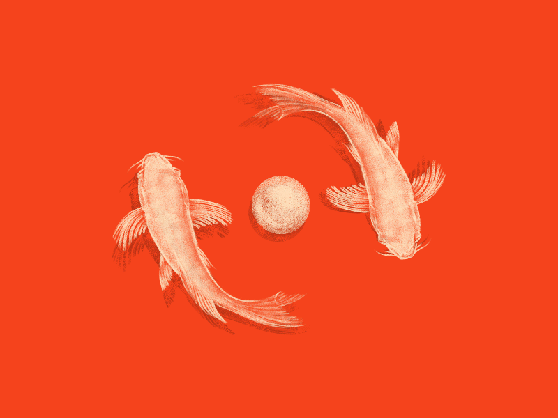 koi_800x600