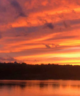 Cedarmere_Board_sunset.jpeg