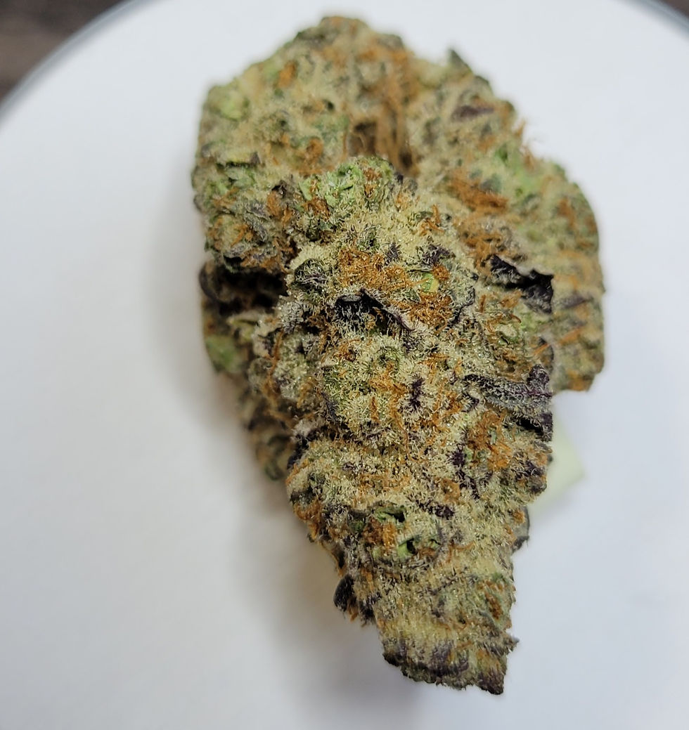 LA Kush Cake x Punch Mints by Bloom County