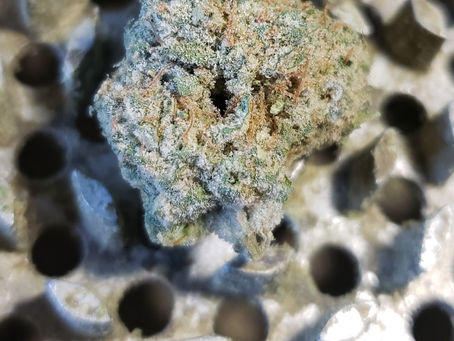Kush Mints By Humble Farms