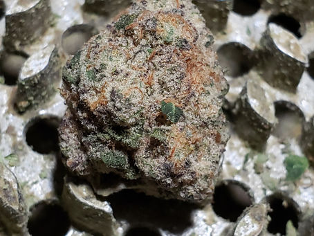 Emperor's Kush By Locol Love