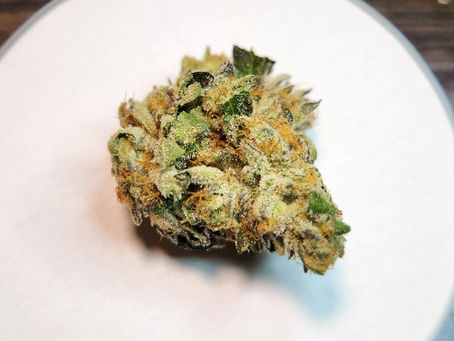 Thunderdome By Green Dot Labs