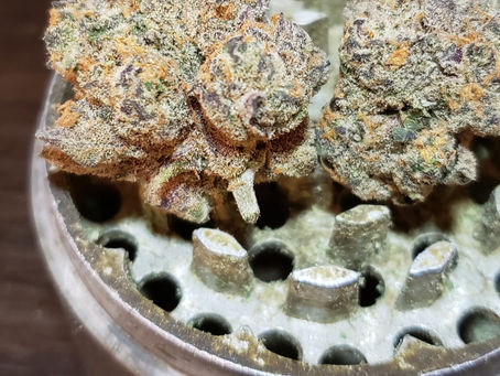 Cheetah Piss (Cookies) By Veritas