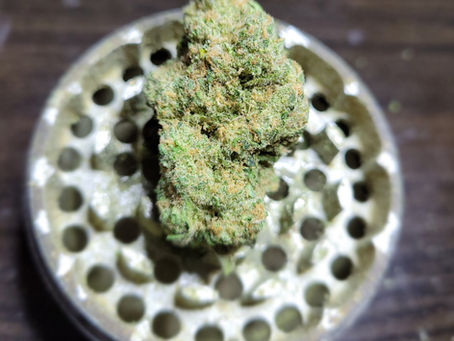 Blue Dream By Mighty Tree