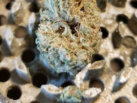 Miracle Alien Cookies (MAC) By High Level Health