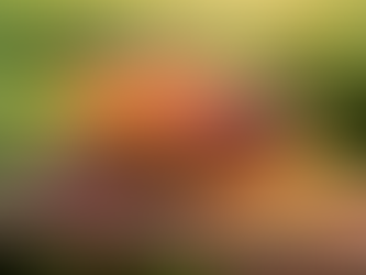 SAÚDE: REJUVENESÇA 10 Anos Comendo ISSO! O Antioxidante Secreto da Cenoura