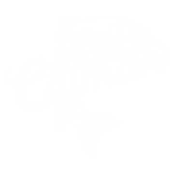 Caiman Logo white.png