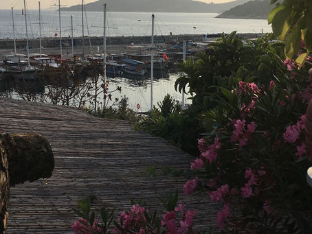 Kaş II | Yiyelim