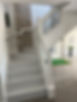 IMG_1319.jpeg