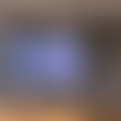 5 lat działania EVA