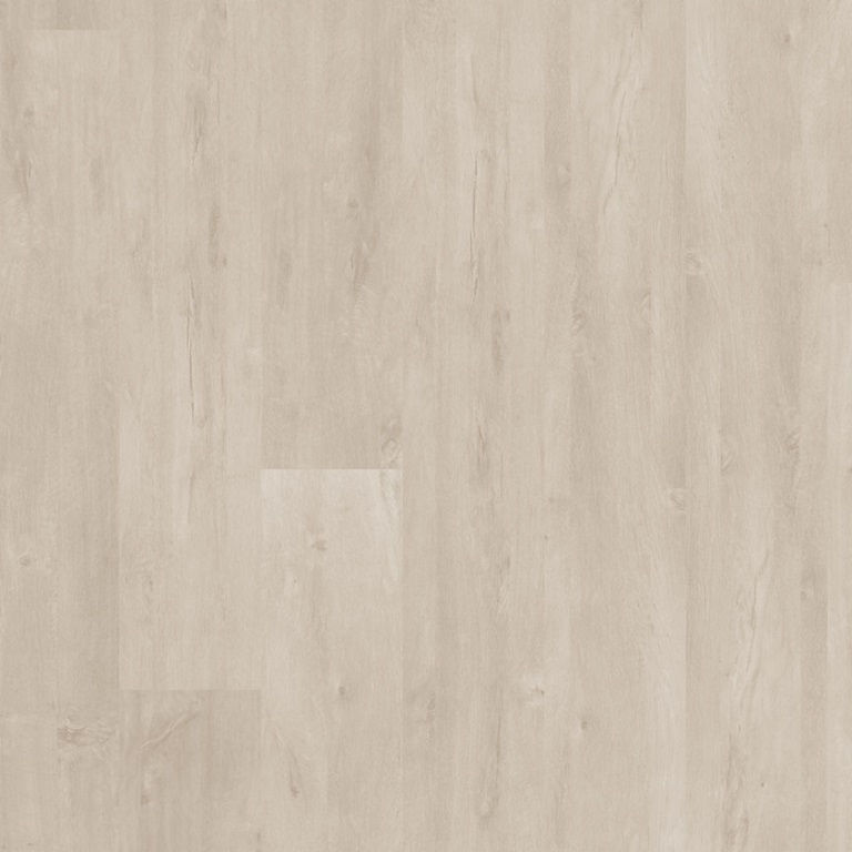 Miniatura: Quick Step Vision