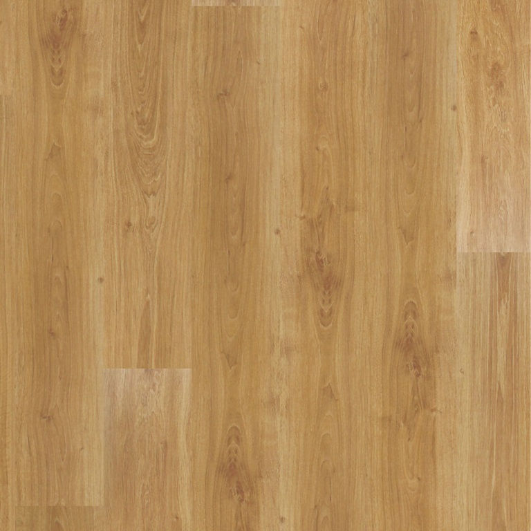 Miniatura: Quick Step Vision