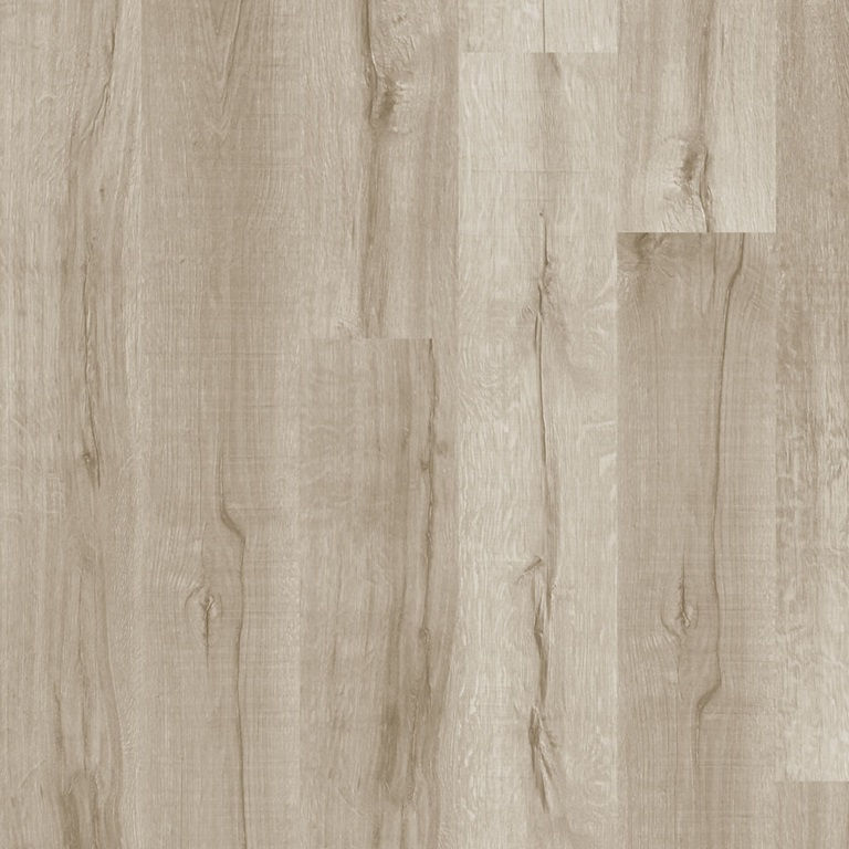 Miniatura: Quick Step Vision