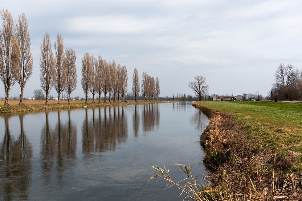 Canale della Muzza