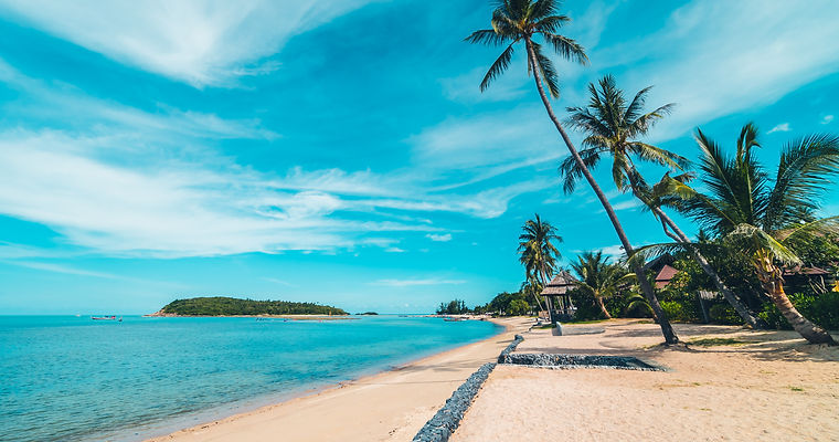 beautiful-tropical-beach-sea-and-sand-with-coconut-palm-tree-on-blue-sky-and-white-cloud.j