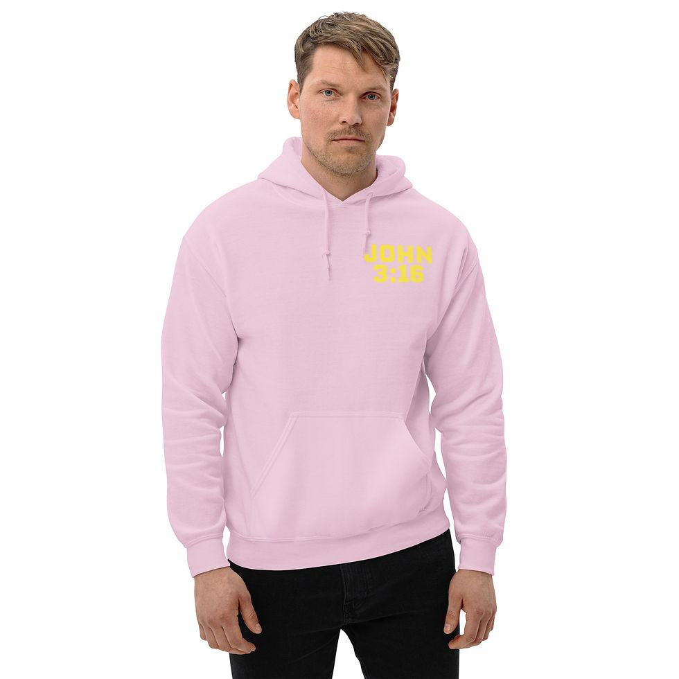 Thumbnail: JOHN 3:16 unisex hoodie 