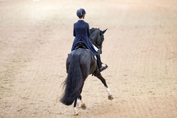 24_Fanny Verliefden-Indoctro vd Steenblok-LIER19L25617