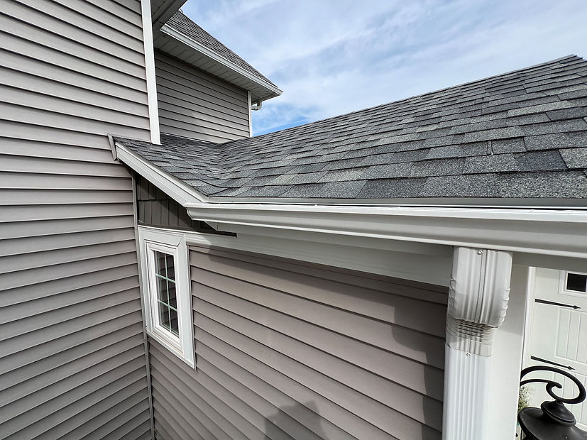 LeafF Gutter Clean.jpg