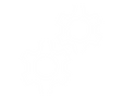 services.png