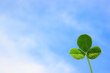 青空とクローバー