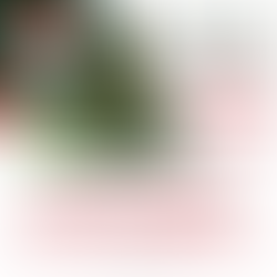 Възможни дати