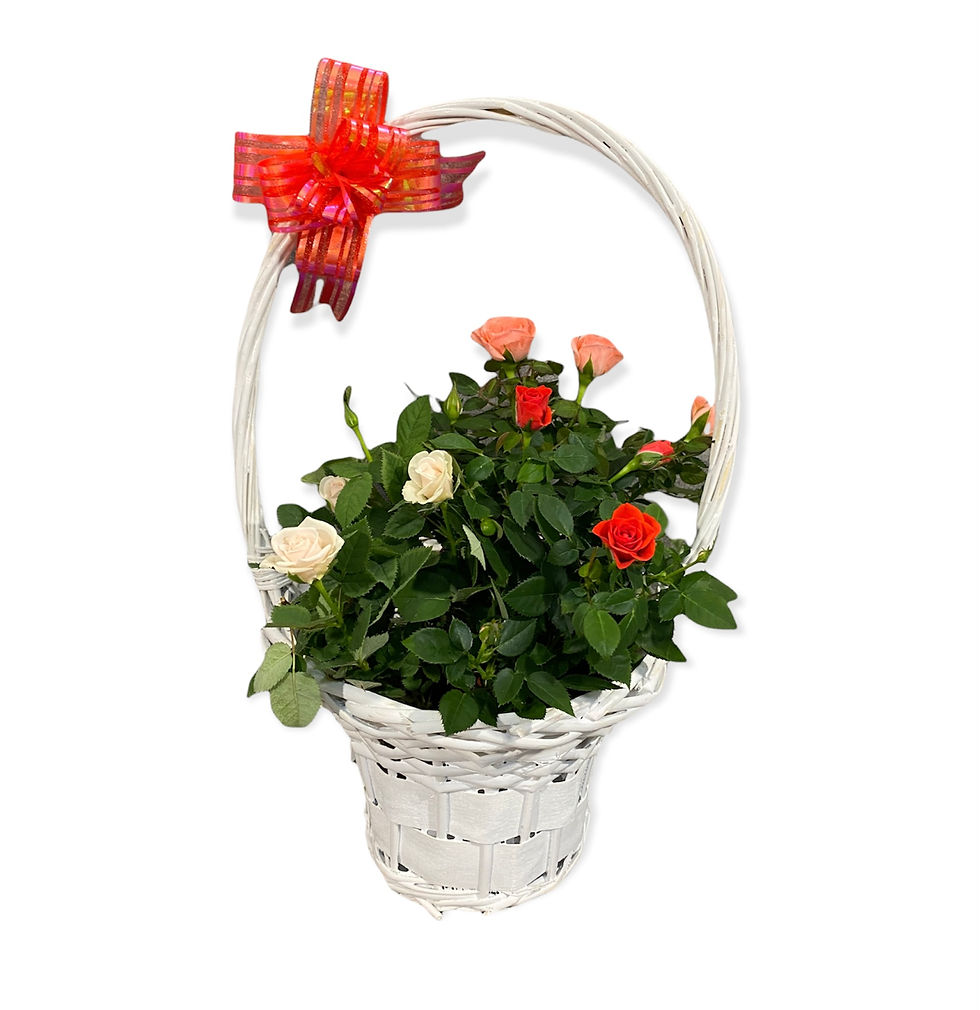 Миниатюра: Цветна градинка с 3 малки сезонни цветя в кошница по Ваш избор