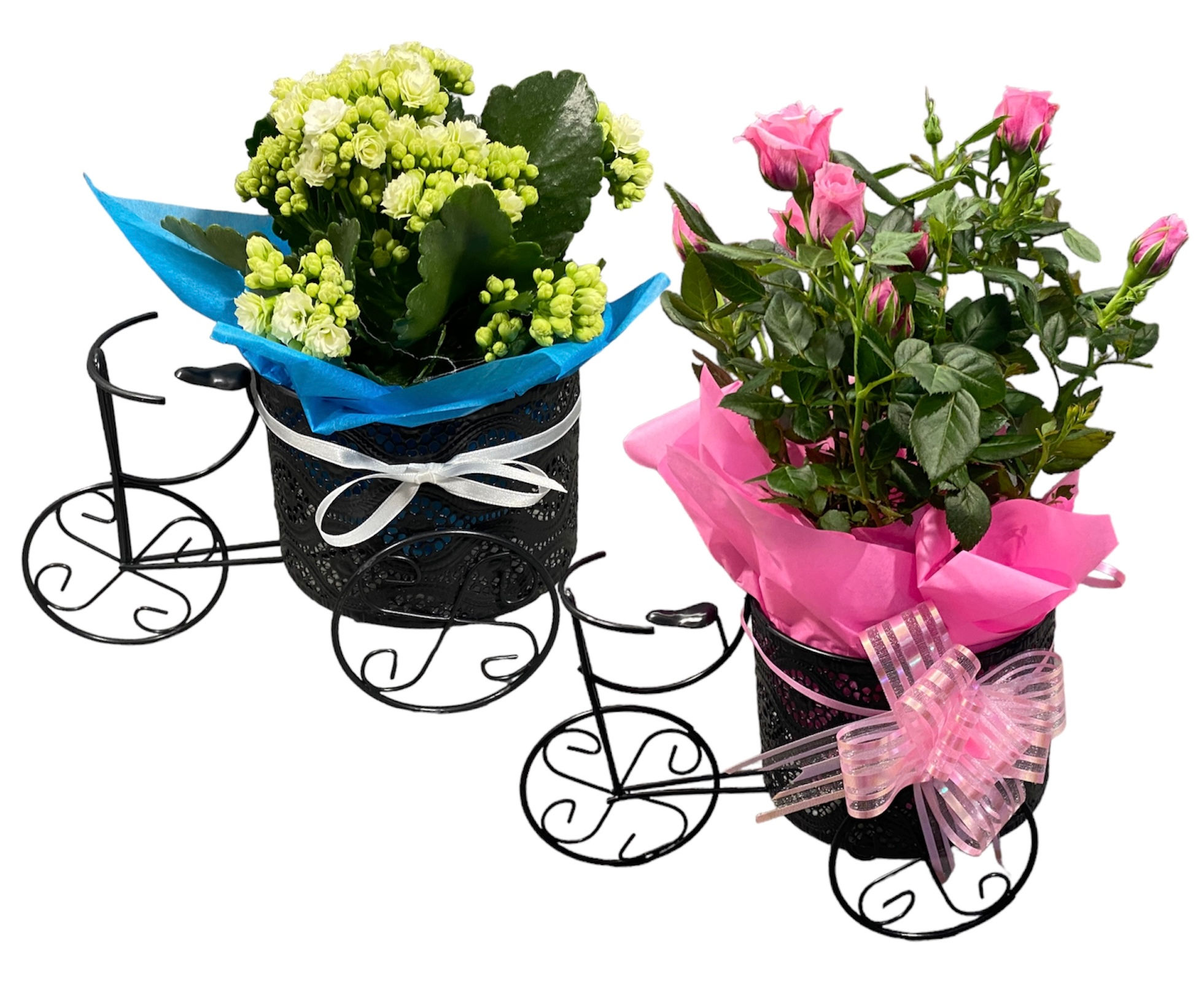 Средно сезонно цвете по Ваш избор в метално колело