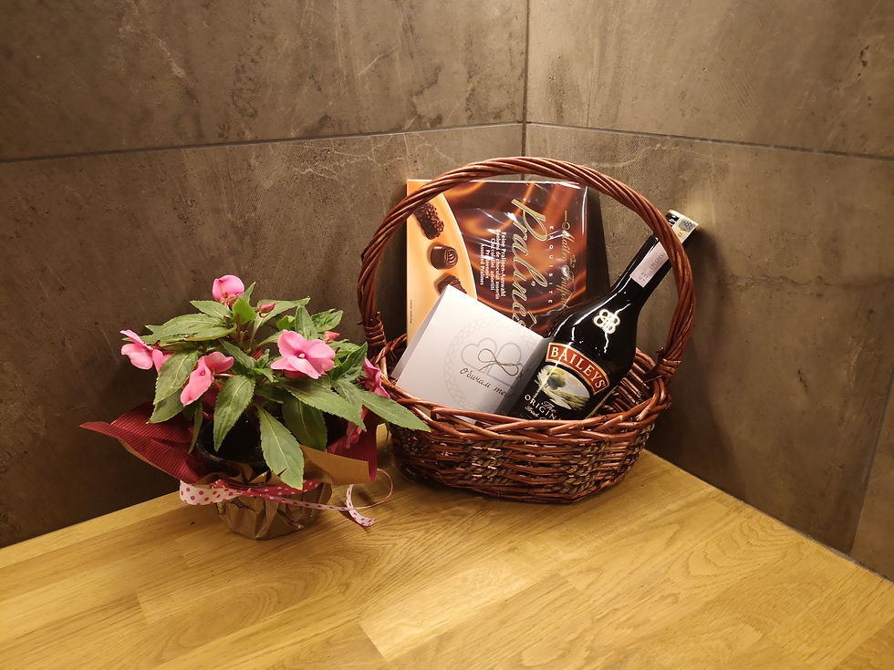 Миниатюра: Кошница CLASSIC елипса