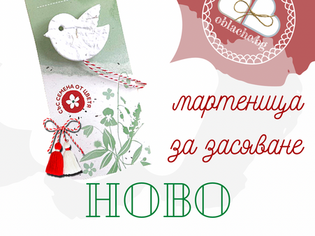 Ново