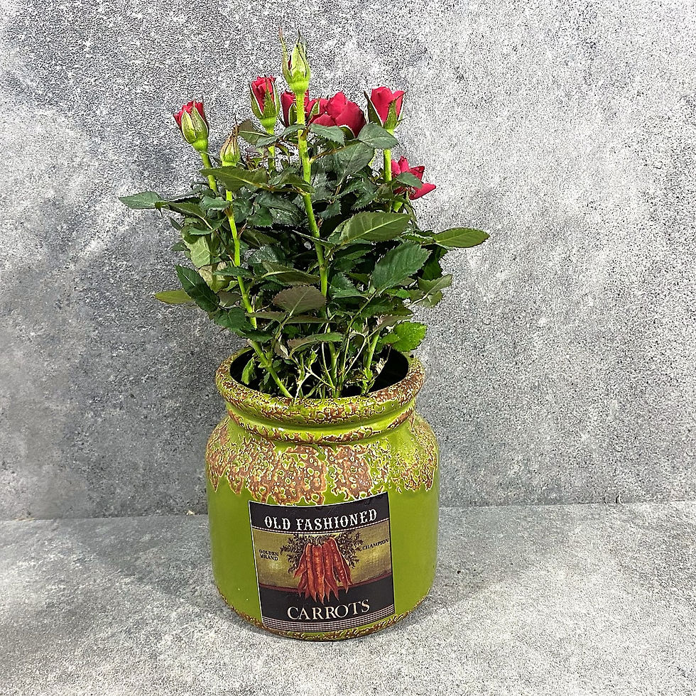 Миниатюра: Средно сезонно цвете по Ваш избор в керамичен винтидж съд