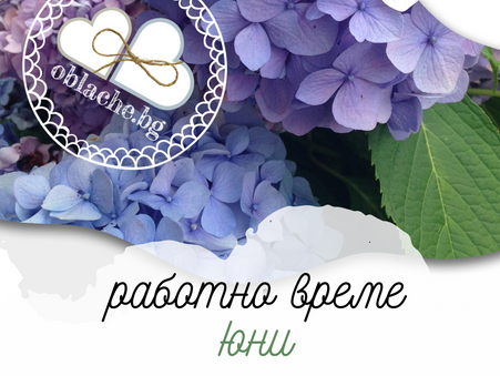Работно време - юни