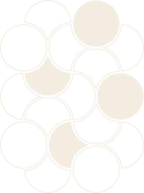 Asset 4_4x.png