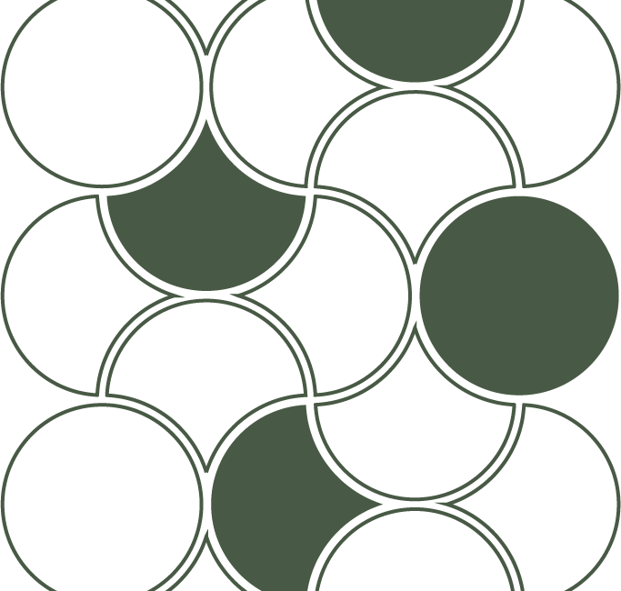 Asset 5_4x.png